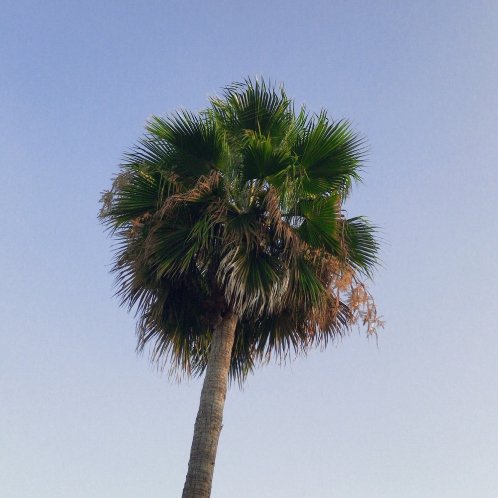 Meet your Posher, Kat